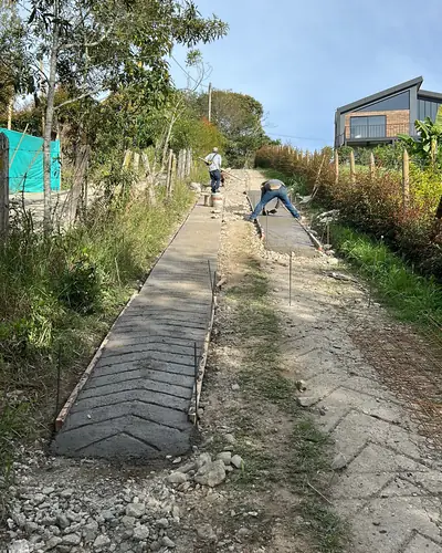 Vía rural en placa huella entre vegetación